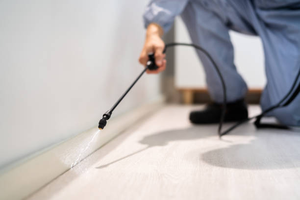 Licensed Cockroach Control service in Benton, TN - Nex Pest Control